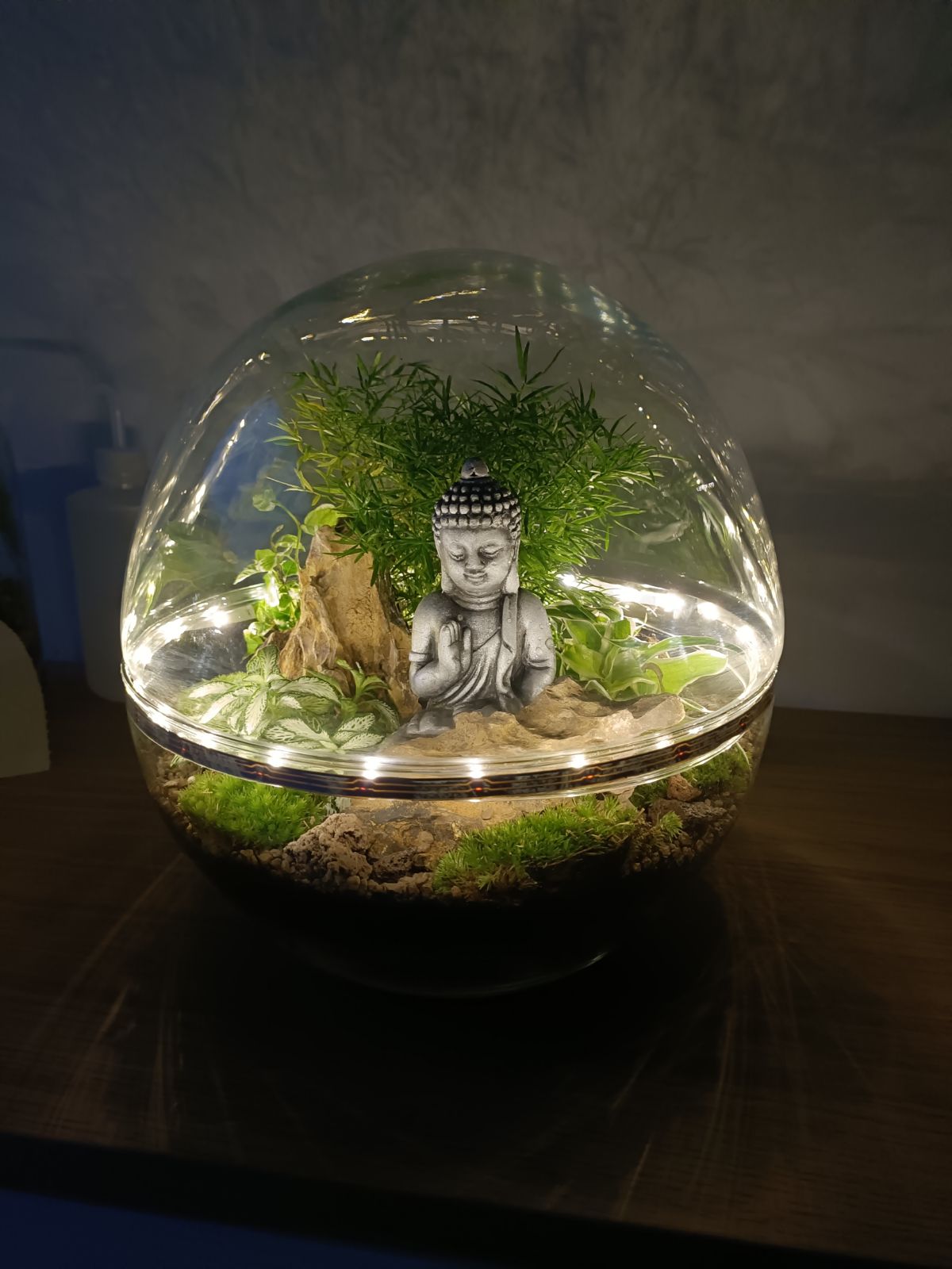 Terrarium boule bouddha