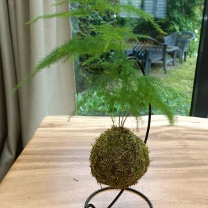 Mini kokedama avec support