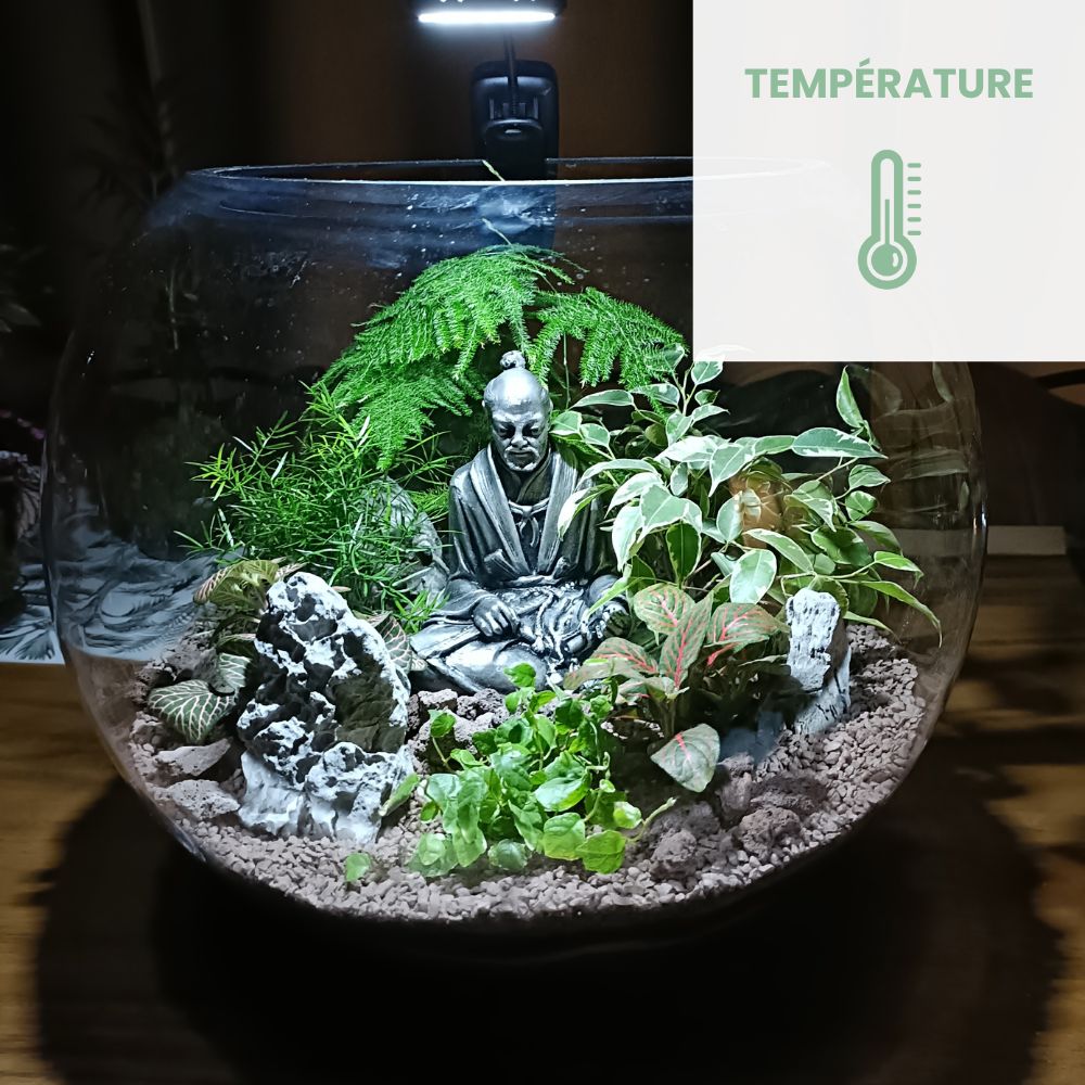 température terrarium ouvert