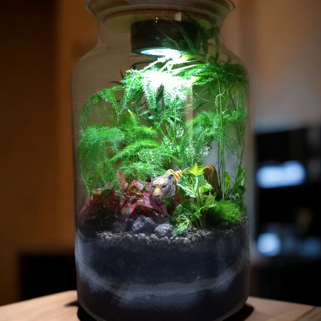 Terrarium de plantes avec tigre