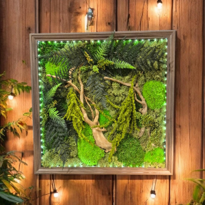 Cadre végétale stabilisé nature