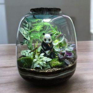 terrarium panda avec lumière