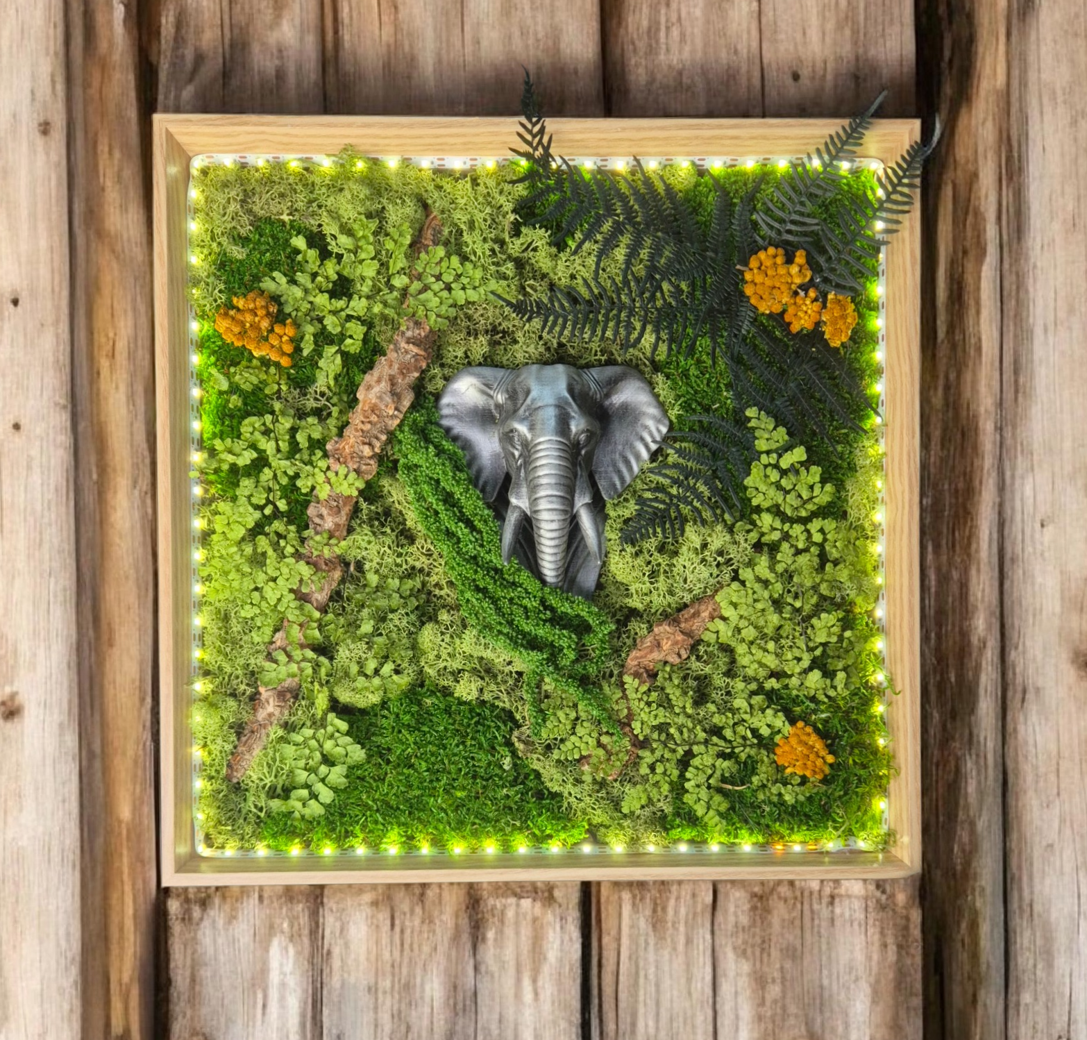 Cadre végétal stabilisé avec éléphant
