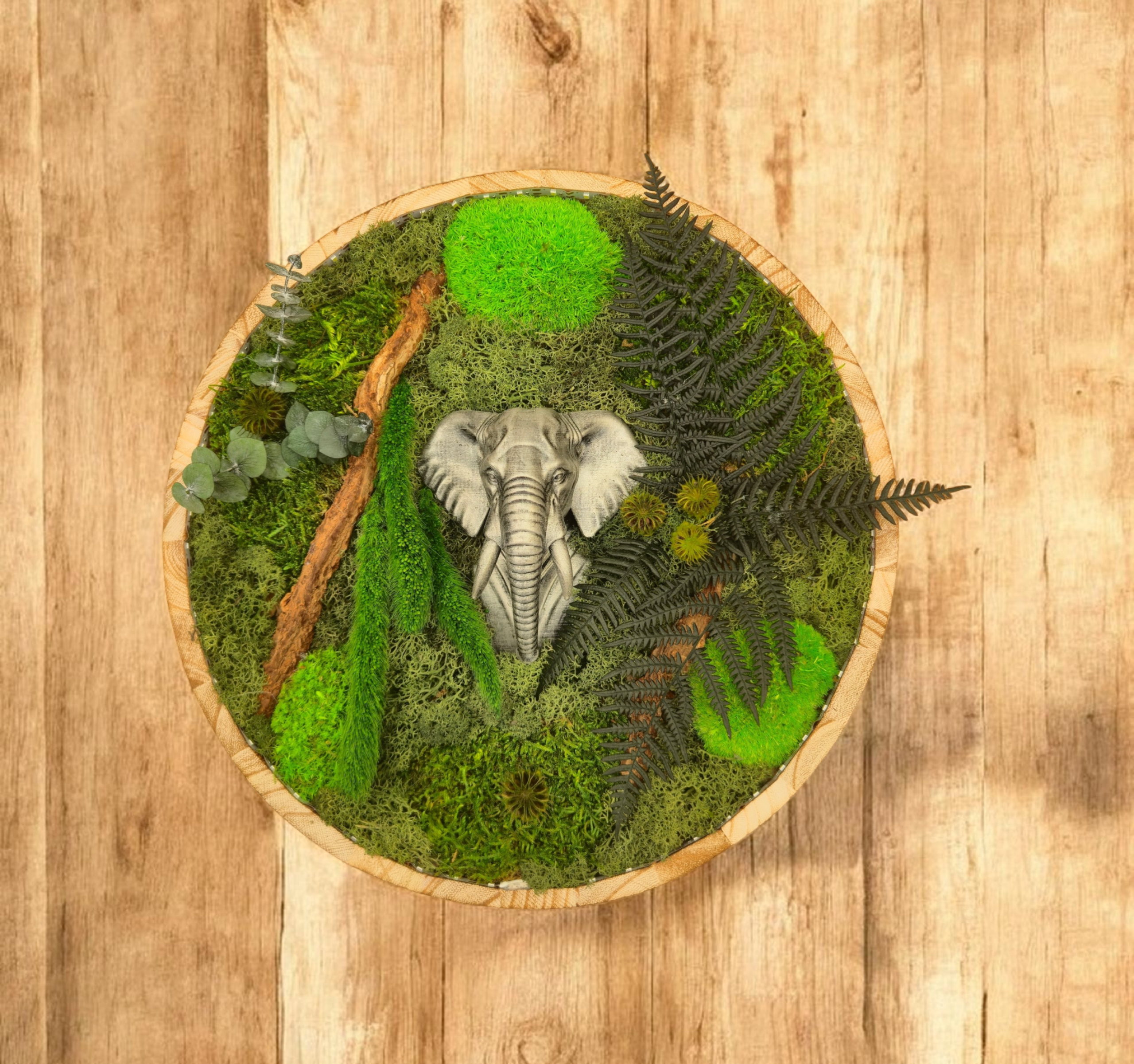 Cadre végétal stabilisé rond éléphant
