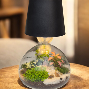 Terrarium lampe rechargeable