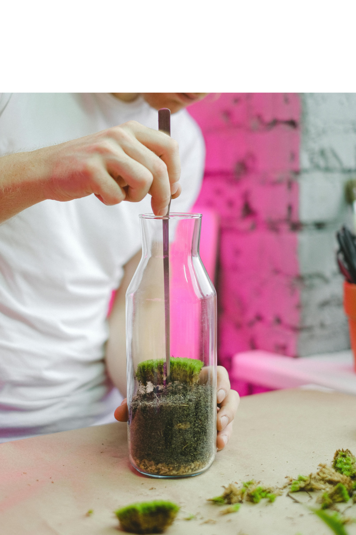 Pinces pour terrarium